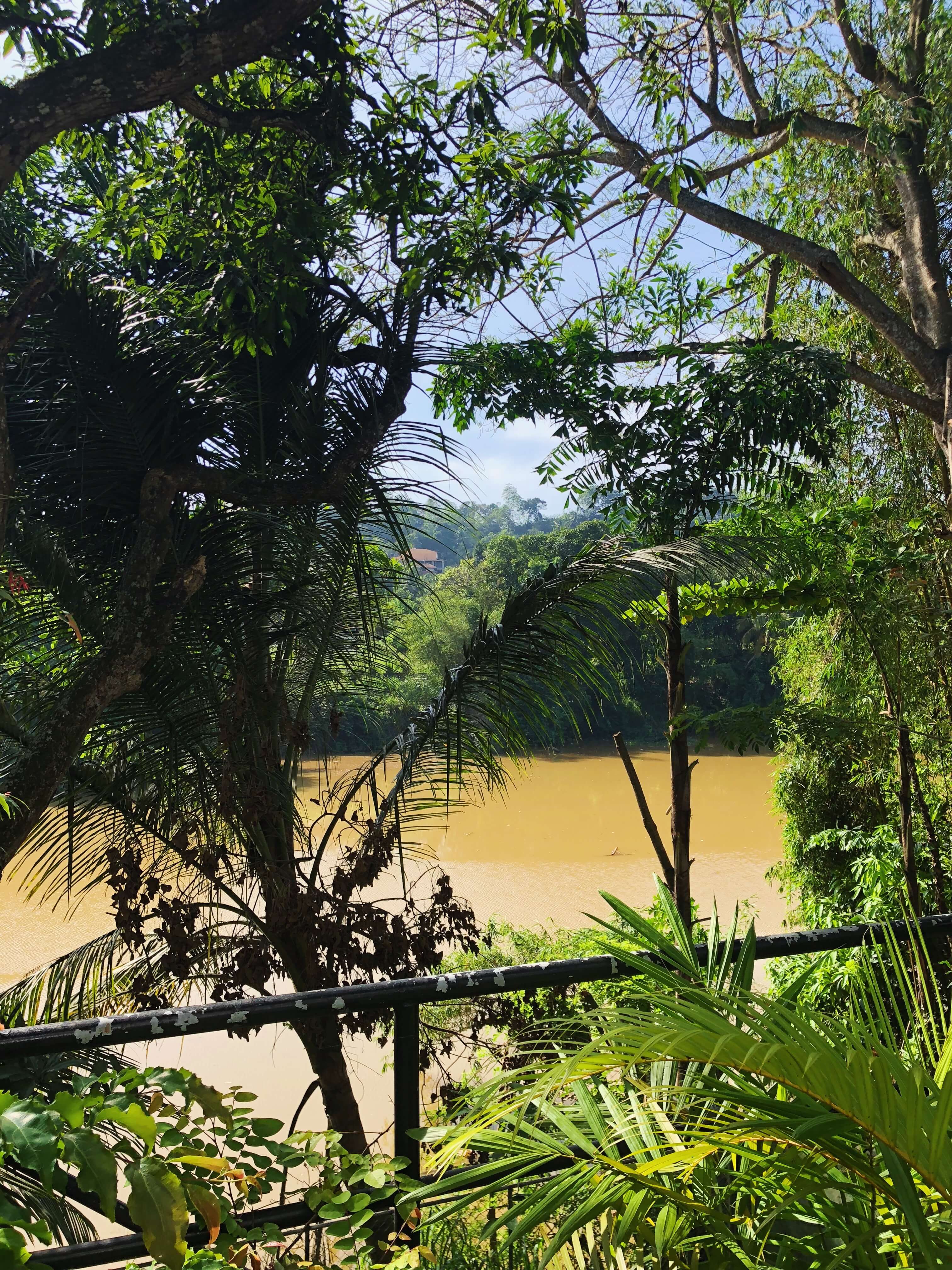 Backyard view of the Mahaweli River